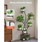8-Tier Indoor Plant Stand with LED Grow Lights Adjustable Timers Waterproof Shelves
